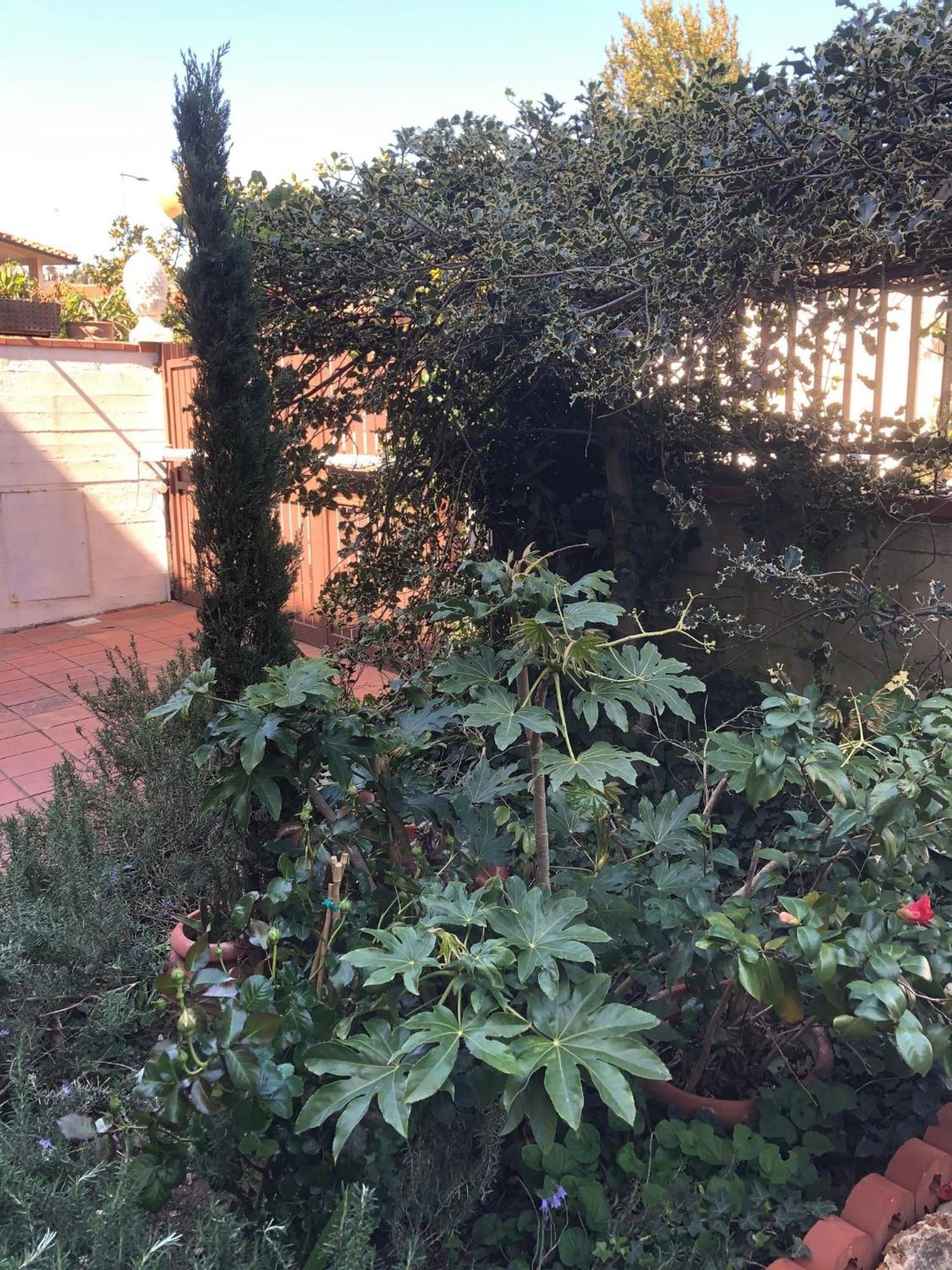 La Villa Bianca - Appartamento In Villa سيستو فيورنتينو المظهر الخارجي الصورة