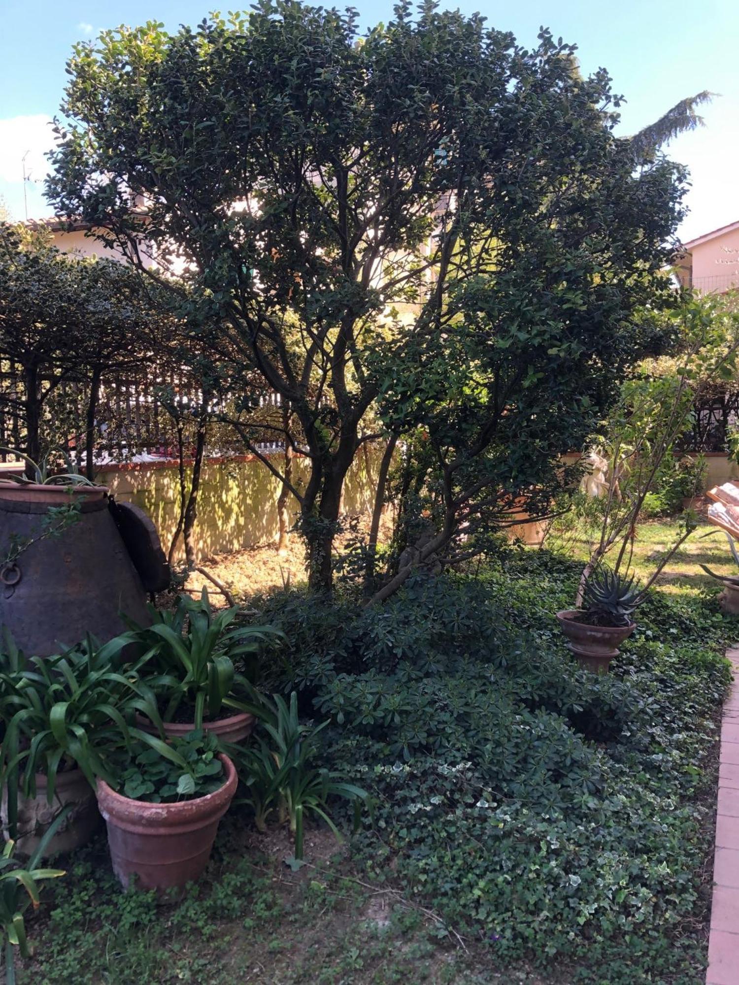 La Villa Bianca - Appartamento In Villa سيستو فيورنتينو المظهر الخارجي الصورة